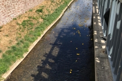 Rennen